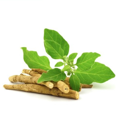 GC Ashwagandha Whole 100g