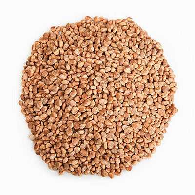 Zaika Chironji / Charoli 50g