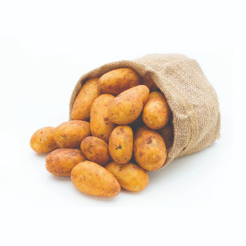 Potatoes Yellow 10 Lb Bag