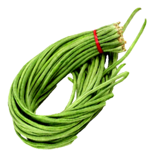 Green Long Beans
