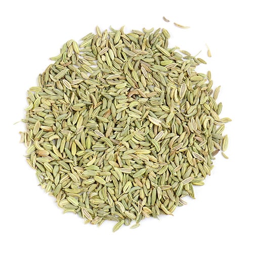 GC Fennel Seeds 400g