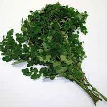 Drumstick leaves