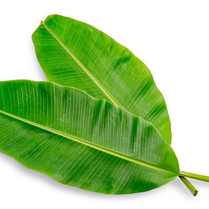 Banana Leaves