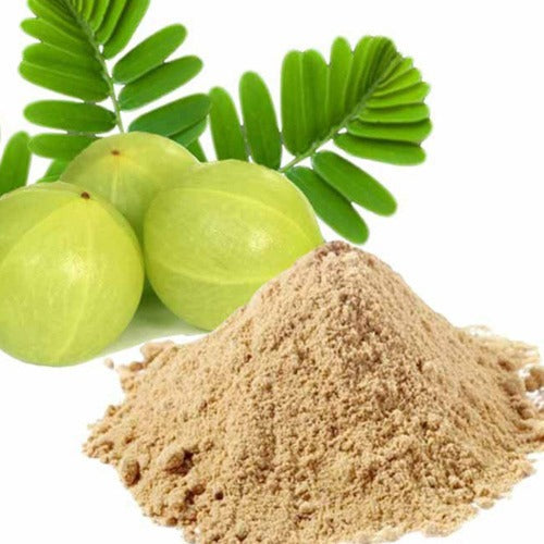 GC Amla Powder 200g