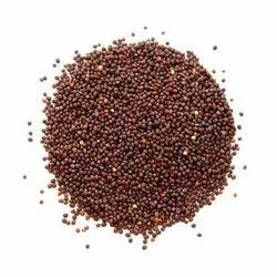 Aman's Mustard Seed