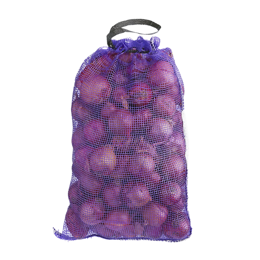 RED ONION 10LB