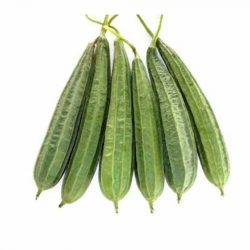 Ridge Gourd