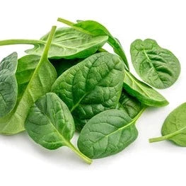 Spinach Fresh Pkt