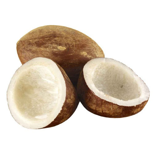 Handi Coconut Half 200g