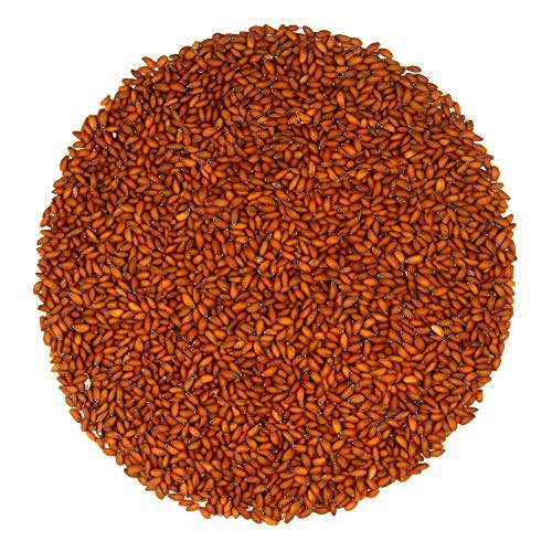 Zaika Aserio Seed 200g