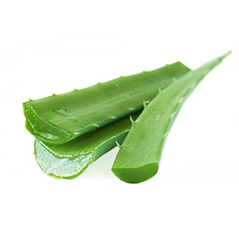 Aloe Vera Leaves