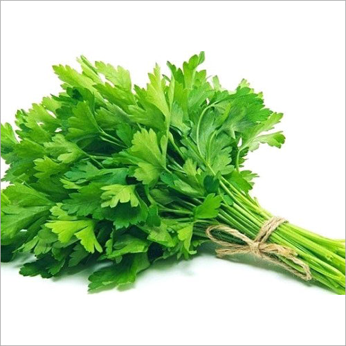 Coriander Leaf