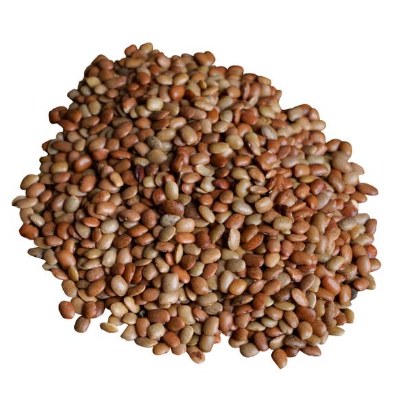 Horse Gram