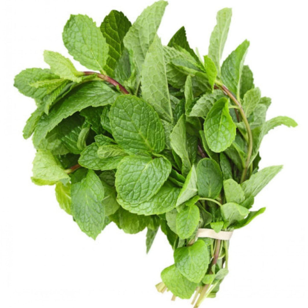 Mint Leaves Fresh