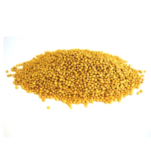 Zaika Mustard Seed Yellow 200g